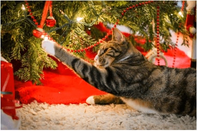 cat playing with tree ornaments