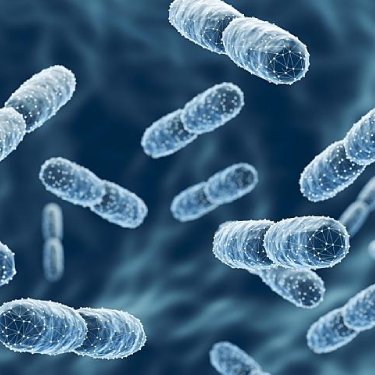 A graphic depiction of probiotic bacteria